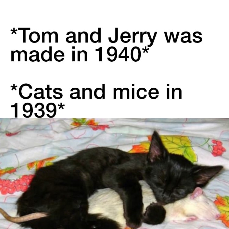 Cats and mice in 1930s meme