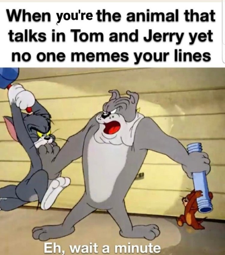 When youre the animal Tom and Jerry meme