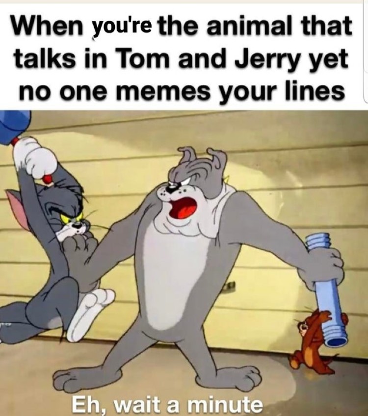 Tom and jerry funny on sale status