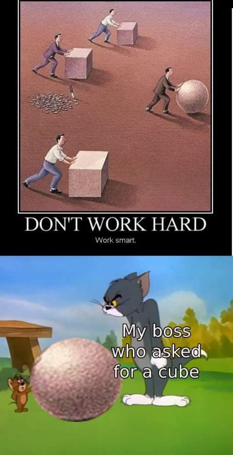 Dont work hard, Tom meme