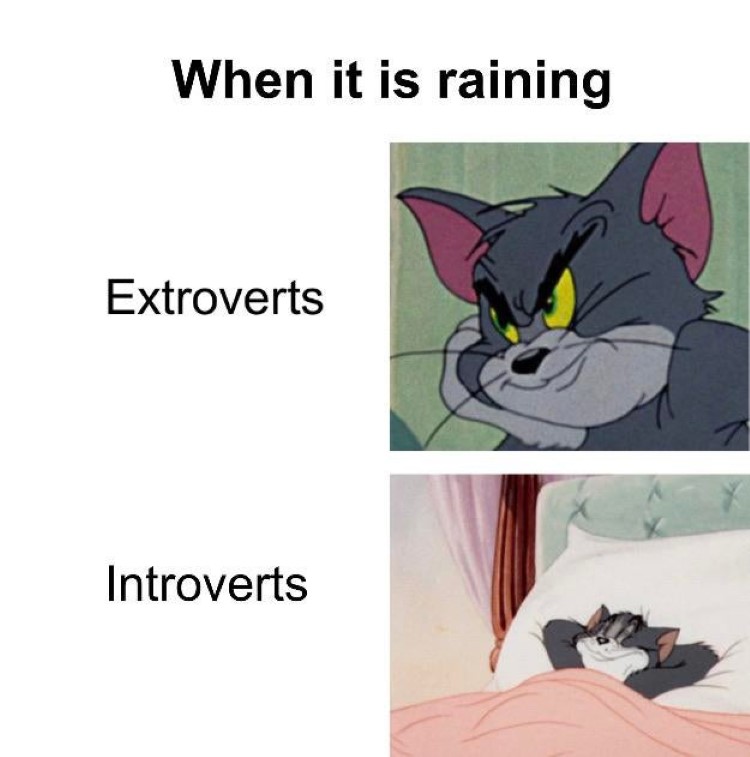 When its raining, introverts vs extroverts meme