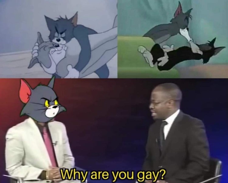 Why are you gay Tom meme.