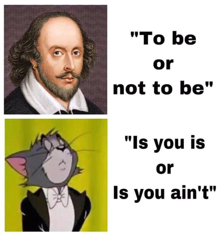 Is you is or is you aint Tom meme