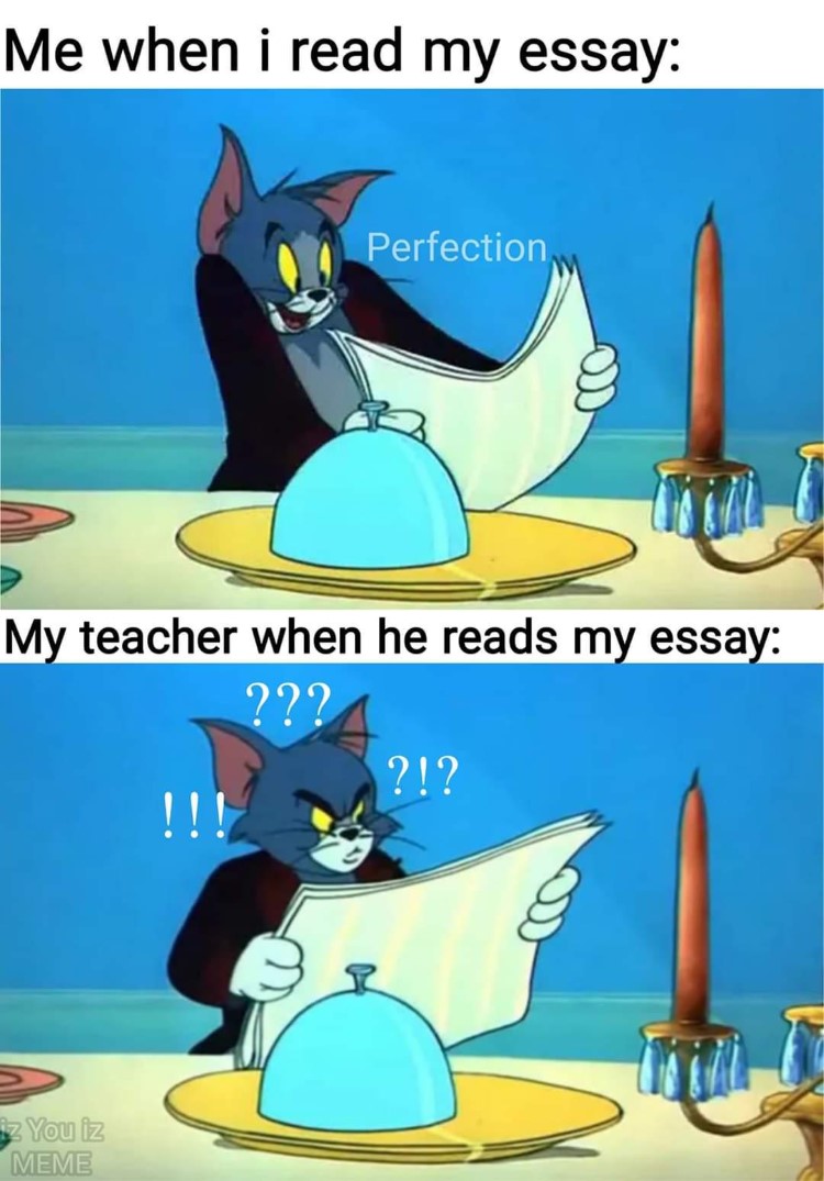 When I read my essay Tom Jerry meme