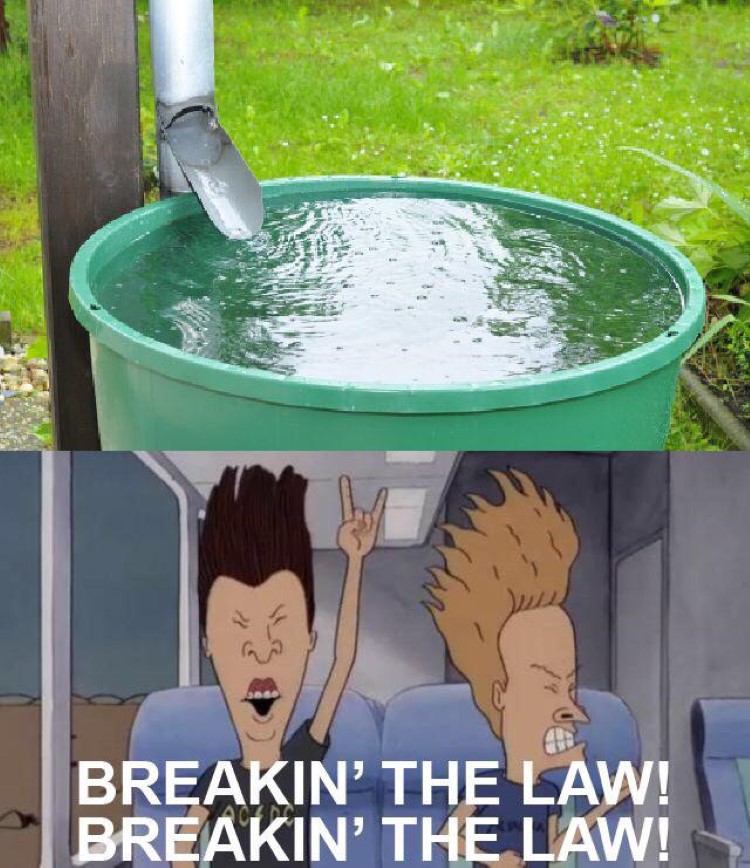 Rain water collection meme - Beavis & Butthead breakin' the law