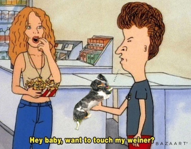 Hey baby, wanna pet my weiner? dog Beavis & butthead meme
