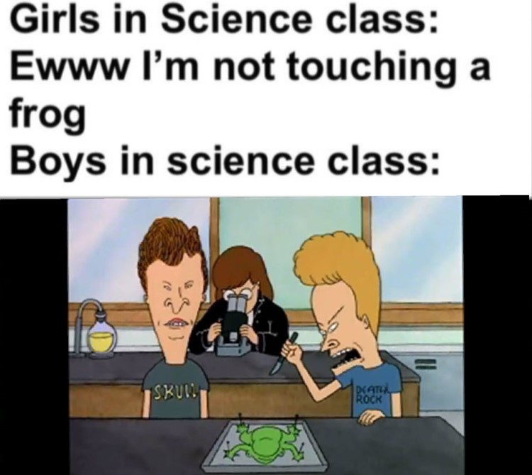 Girls vs boys in science class, Daria vs Beavis and Butt-head meme
