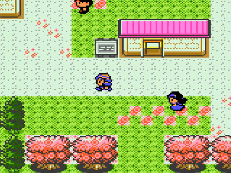 Pokémon Polished Crystal ROM hack