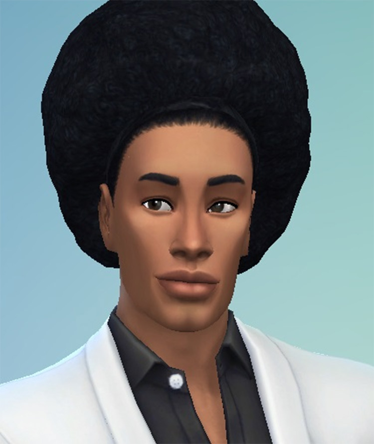 Afro Bomb Hair in Sims 4