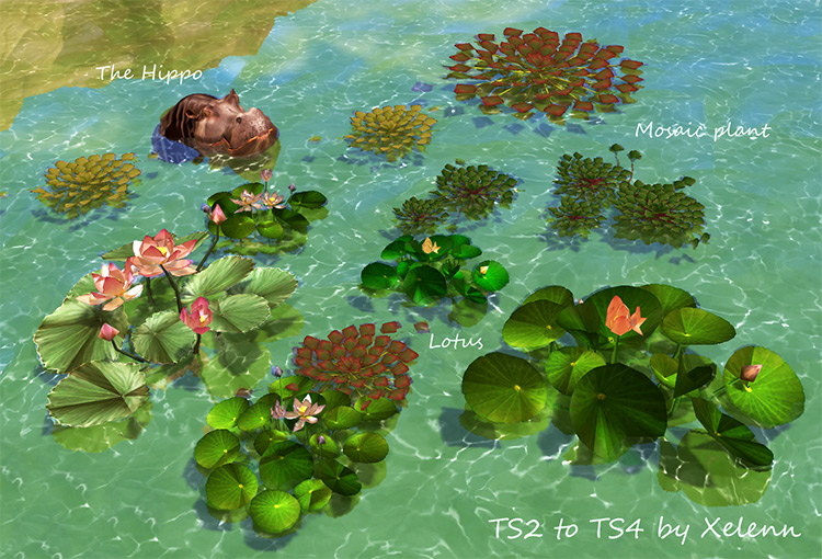 TS2 to TS4 Plants & Flowers Mega Pack by Xelenn Sims 4