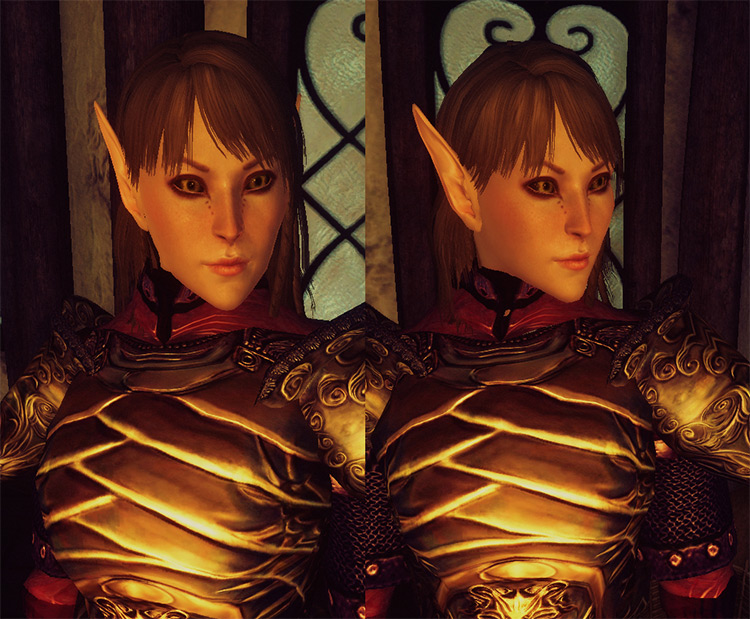 oblivion character overhaul mod writing on faces