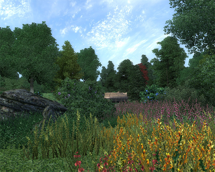 Enhanced Vegetation Mod for Oblivion