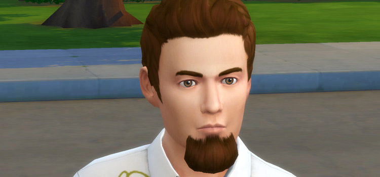 Bushy Goatee Preview in The Sims 4