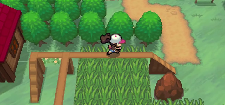 pokemon black 2 rustling grass