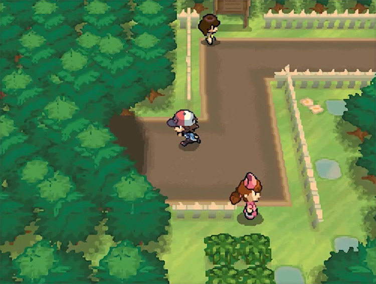 pokemon black 2 shaking grass