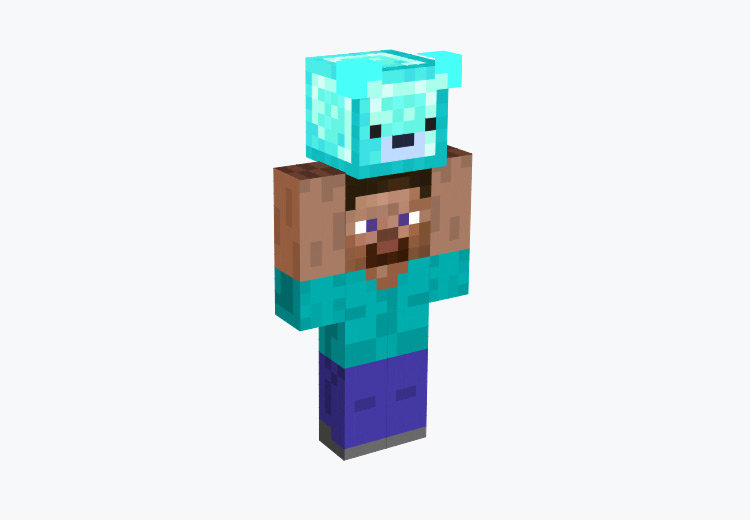 Block Minecraft Skins