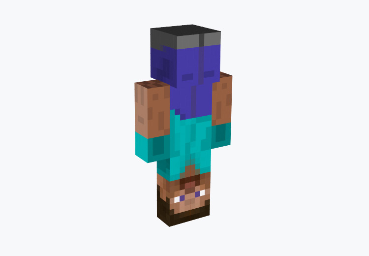 Upside Down Steve Character / Minecraft Skin