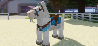 White Minecraft Horse / MC Horse Tack Mod