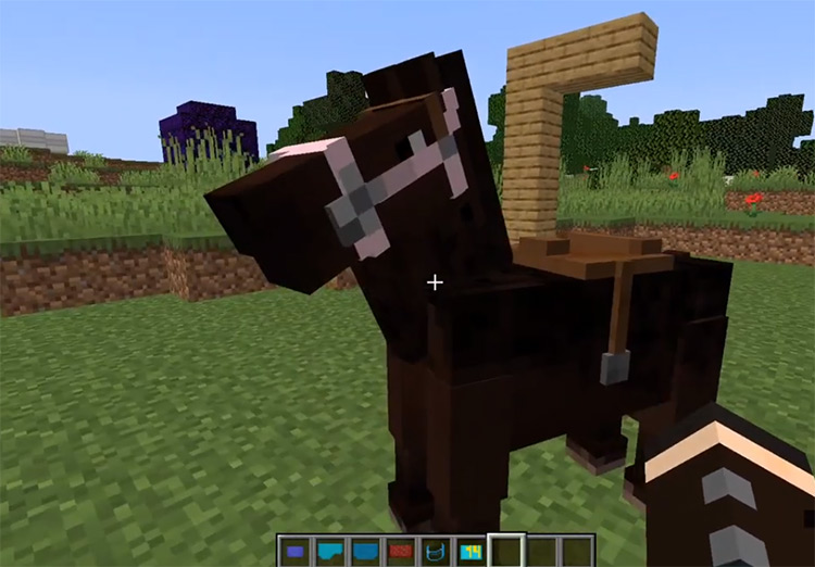Horse Tack mod for Minecraft