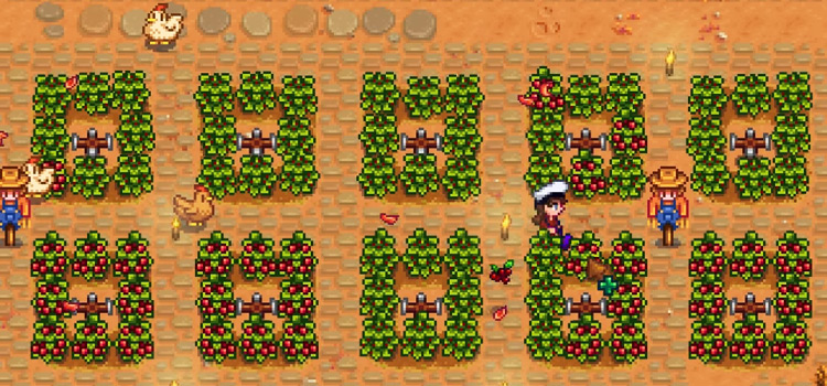 Cranberries and Crops Growing in Stardew Valley