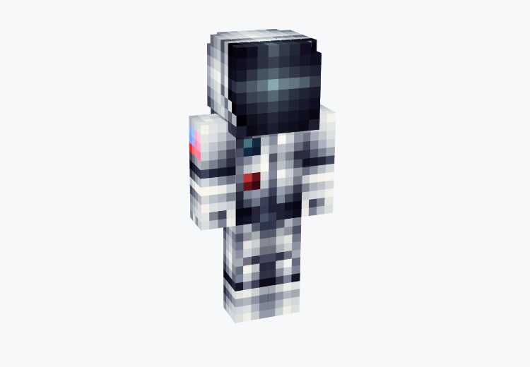 Neil Armstrong Astronaut Suit / Minecraft Skin