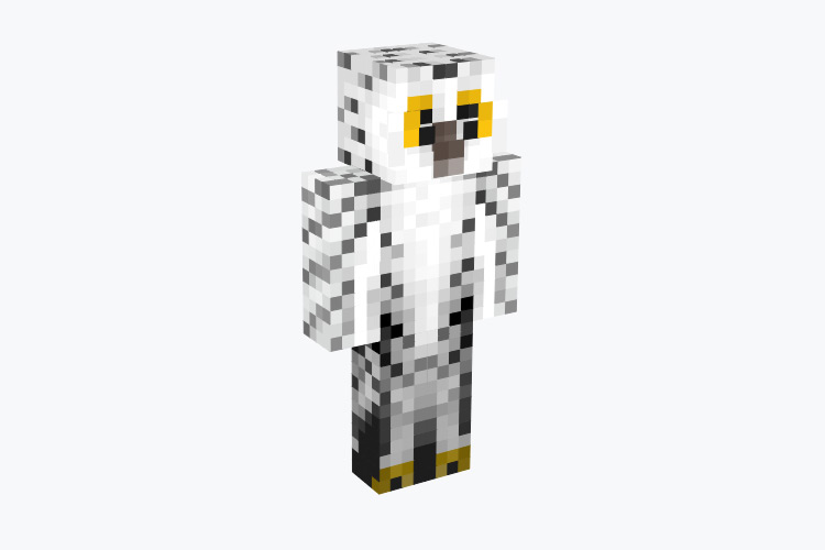 White Snowy Owl / Minecraft Skin
