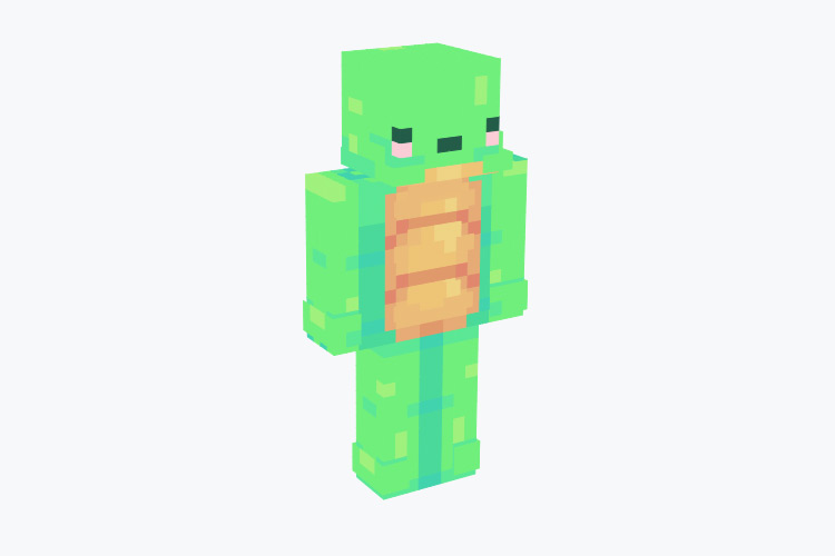 Green Turtle / Minecraft Skin