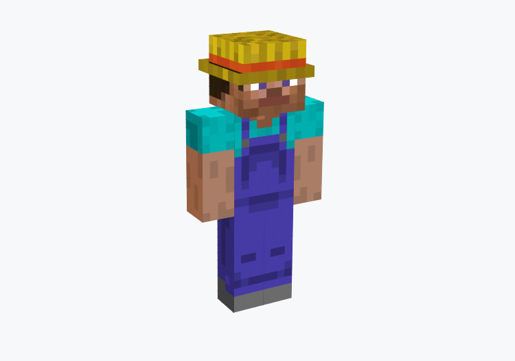 Farmer Steve / Minecraft Skin