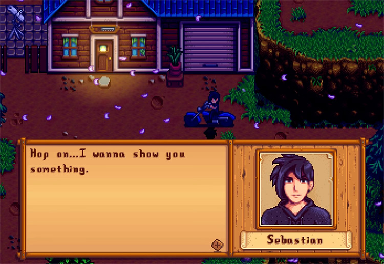 The Best Husbands in Stardew Valley  All Ranked    FandomSpot - 38