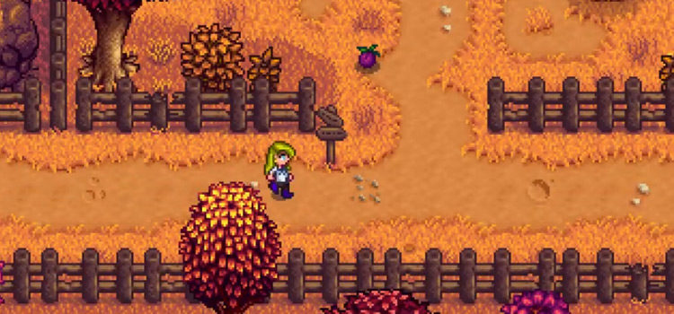 Stardew Valley Wild Plums: Locations & Uses