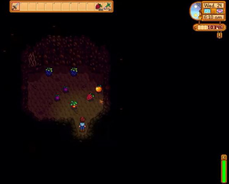 Stardew Valley Fruit Cave with Wild Plums