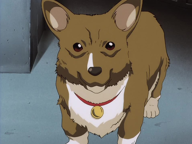 20 Most Iconic Animals   Pets in Anime   FandomSpot - 57