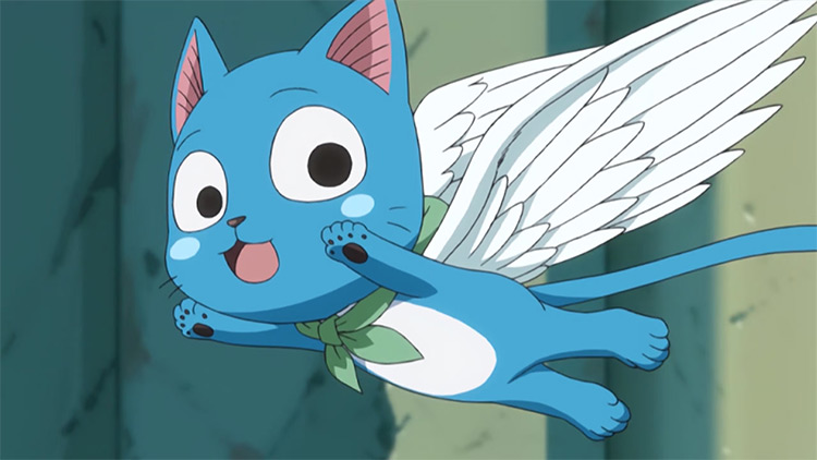 Happy from Fairy Tail anime