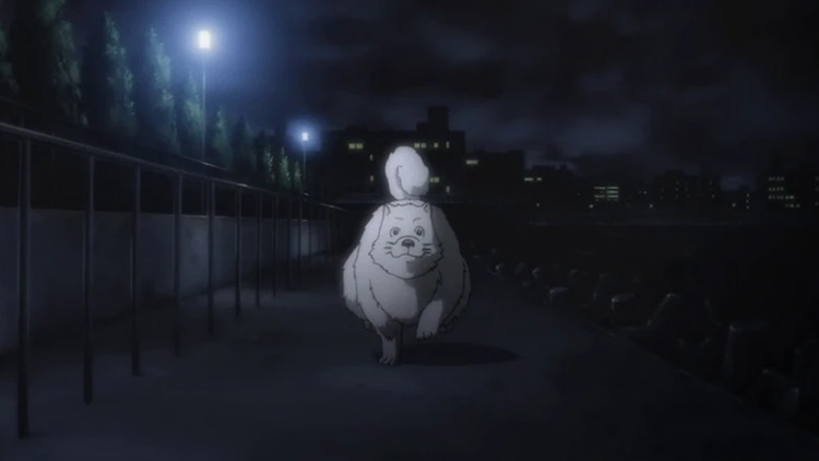 20 Most Iconic Animals   Pets in Anime   FandomSpot - 93