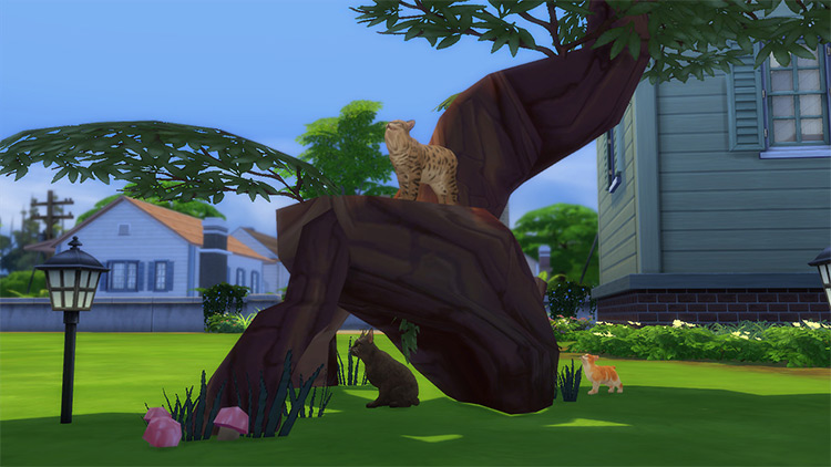Cat Tree CC for The Sims 4