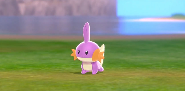 Shiny Mudkip in Pokémon Sword