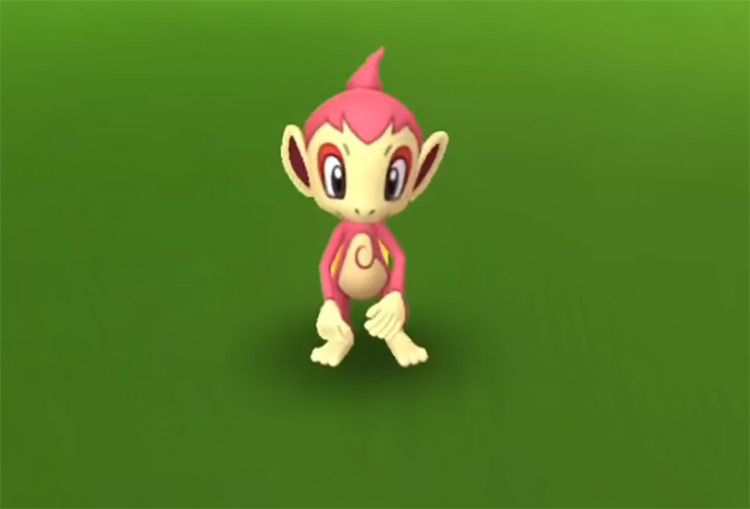 Shiny Chimchar in Pokémon GO