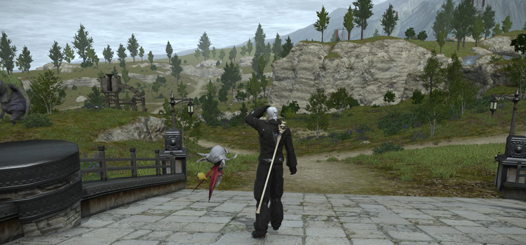 Character Overlooking Mountain Paths in FFXIV HD