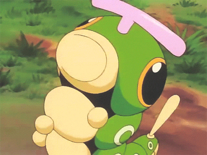 Caterpie in anime