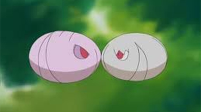 Cascoon and Silcoon in anime