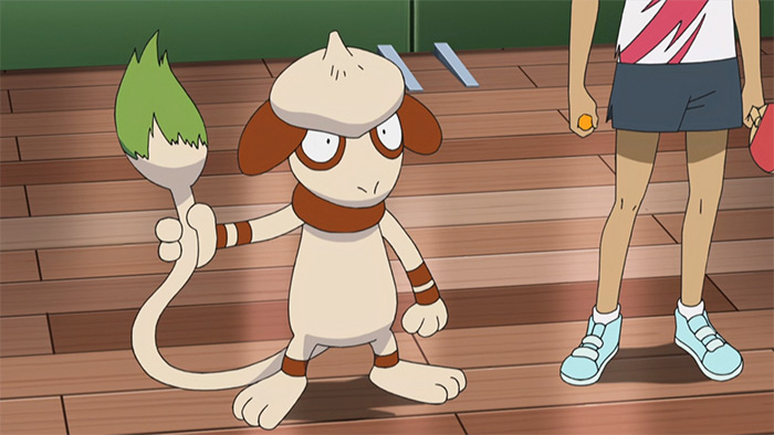Smeargle in the anime