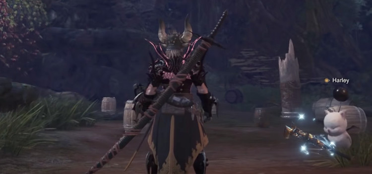 MHW warrior carrying long sword