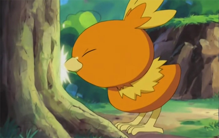 Torchic from the anime