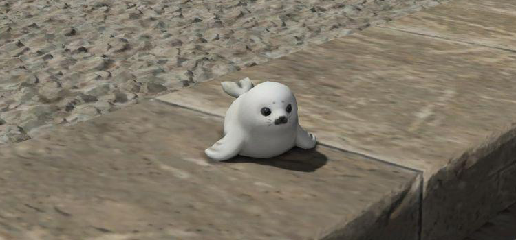 Salt & Pepper Seal Minion on the steps of Kugane’s Aetheryte