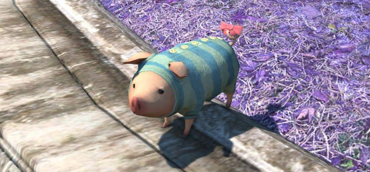 The Poogie Minion in FFXIV