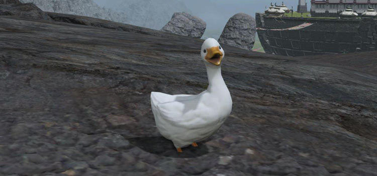 Ugly Duckling Minion in FFXIV