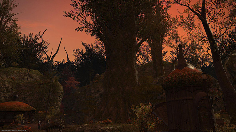 The boughs of Old Gridania at sunset / FFXIV