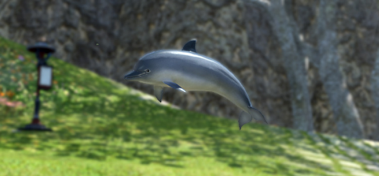 Dolphin Calf Minion close-up in FFXIV