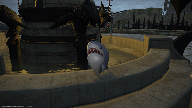 The Major General, while cute, has taken to become a land weller - frightening even the most stalwart fishermen / Final Fantasy XIV