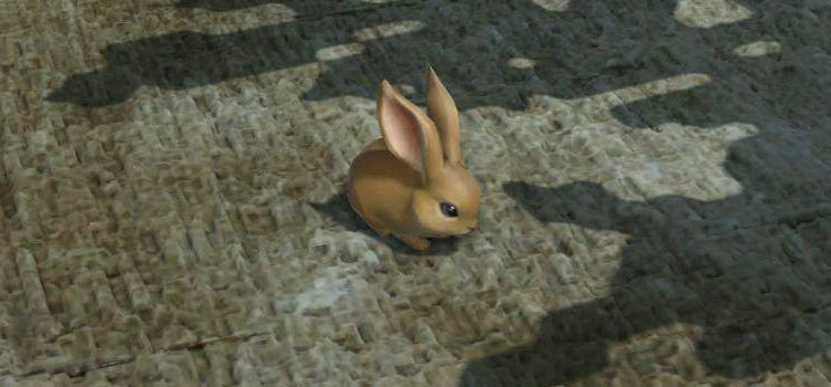 How To Get The Dwarf Rabbit Minion in FFXIV